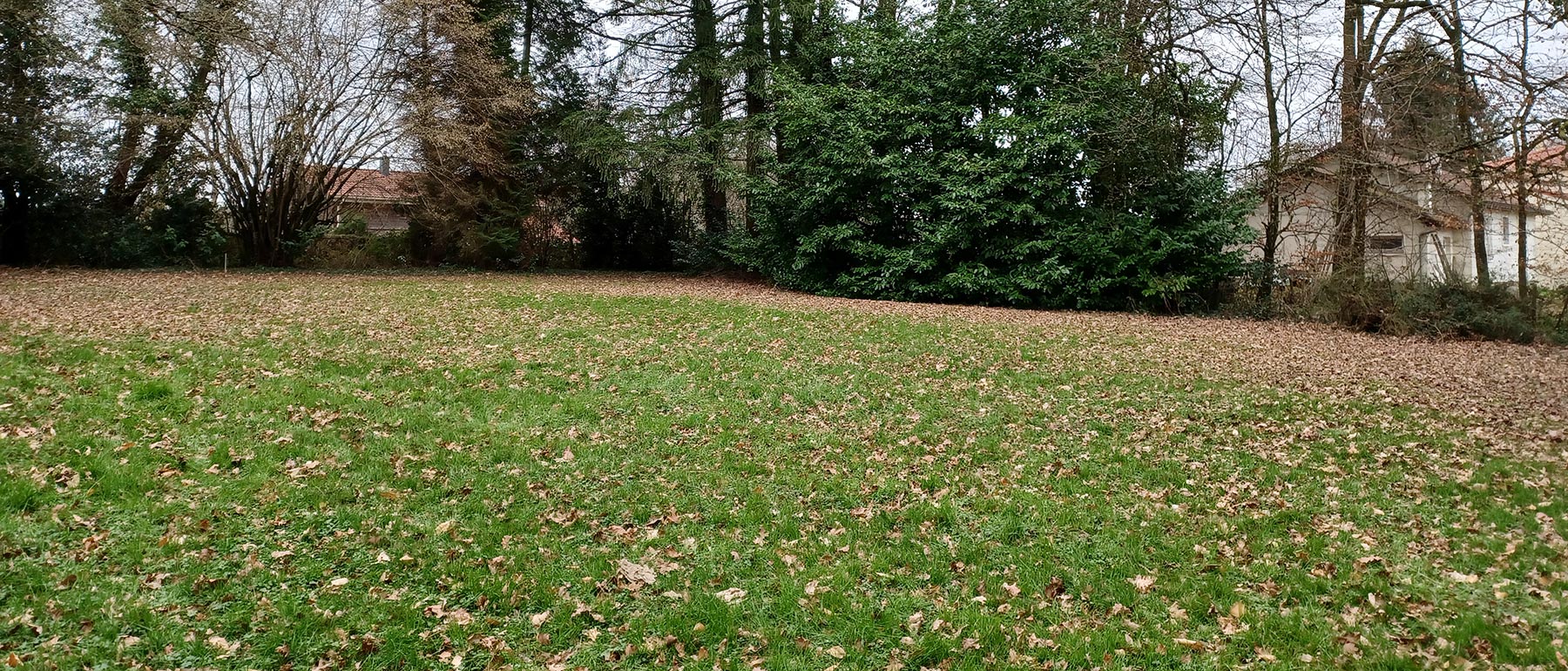 image panoramique